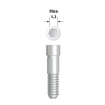 Śruba Abutment Screw